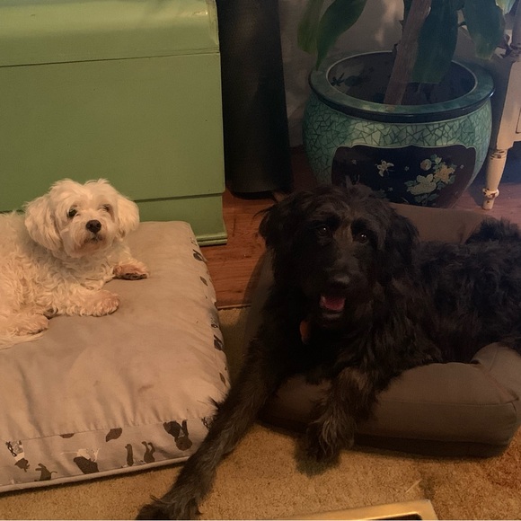 Meet your Posher, Jennifer - Picture 8 of 11